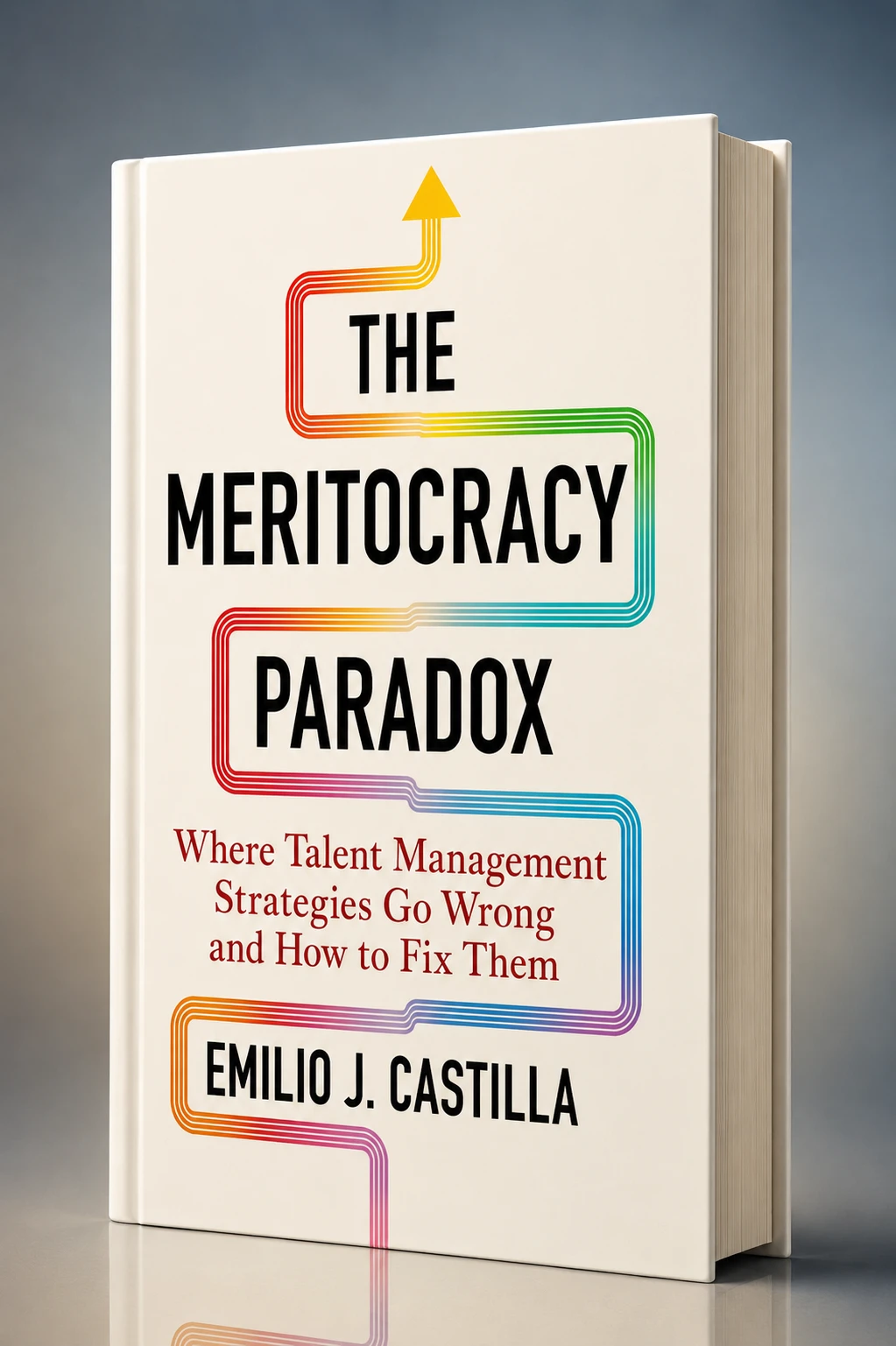 The Meritocracy Paradox cover